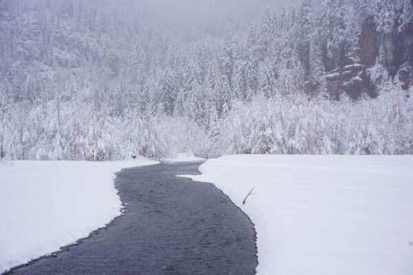 Schneeschuhwanderung durch das Kiental