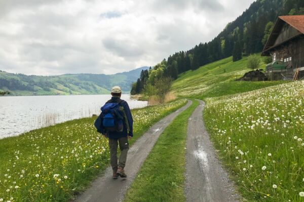 Vom Ägerisee hinauf zu den Hochmooren
