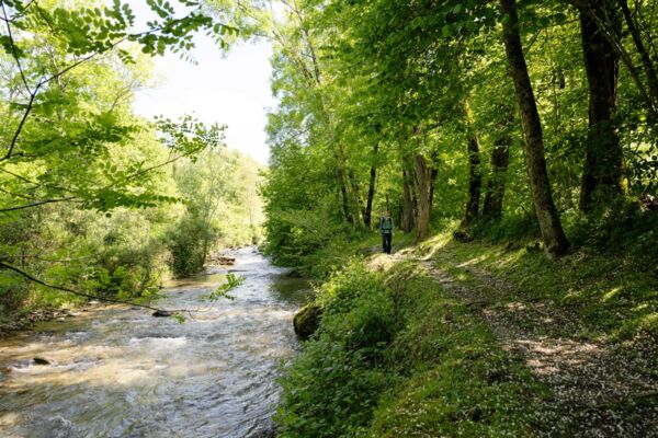 Un bosco rigoglioso e una cascata nel Malcantone