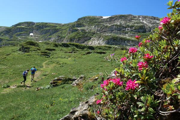 Durch die Karstlandschaft auf den Chäserrugg