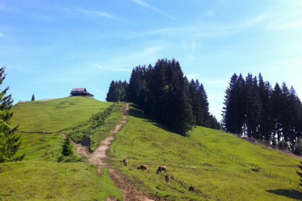 Von St. Peterzell nach Waldstatt
