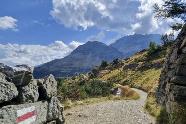 Du Val da Pila à Alp Grüm