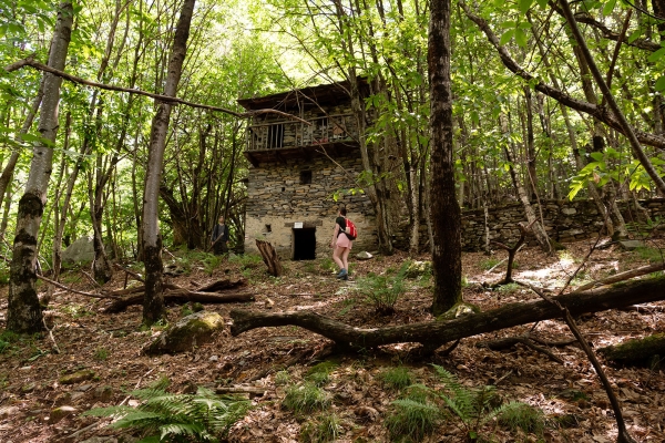 Anciens chemins de la Valle Maggia