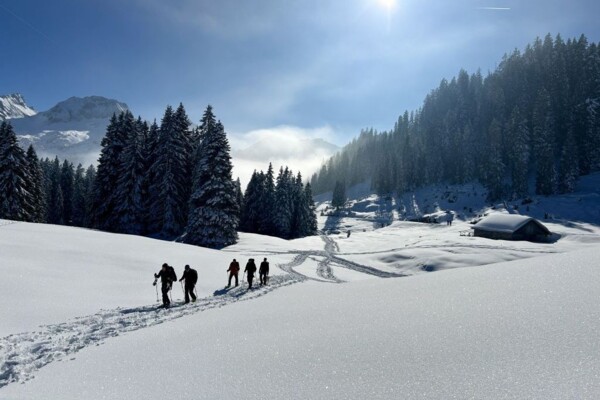 Schneeschuhtraum auf dem Ölberg