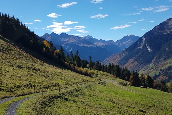 Über Alpen und durch Wälder