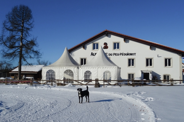 Winterwandern in den Freibergen