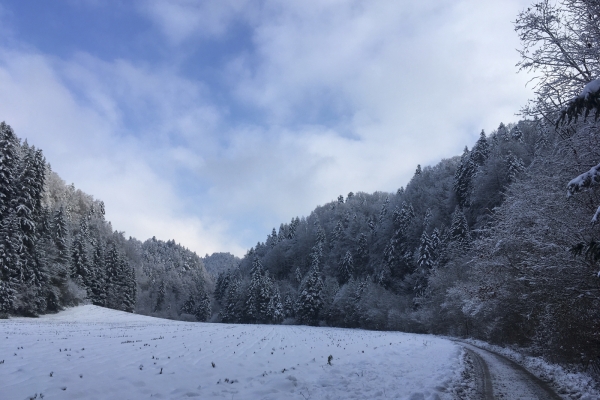 Dans les gorges de la Schwarzwasser