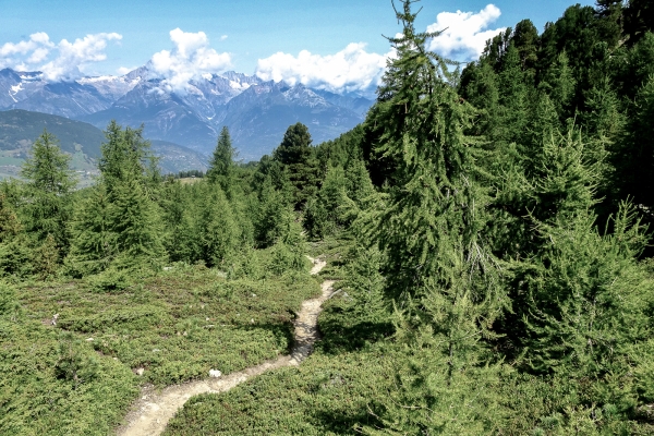 Randonnée panoramique au-dessus de Grächen