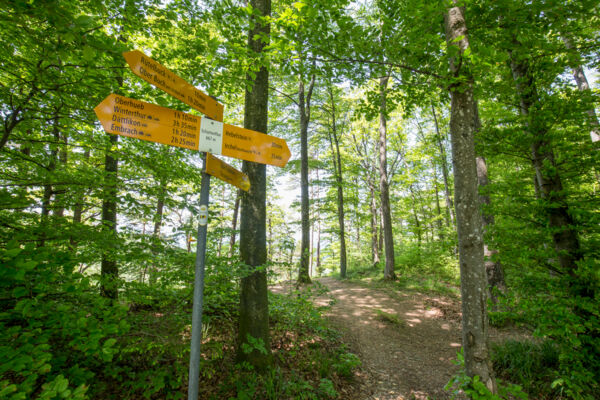 Im Land der Eulen am zürcherischen Irchel