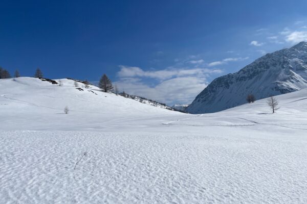 Kurzwanderung auf dem Simplonpass