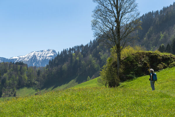 Über den Lopper zum Renggpass