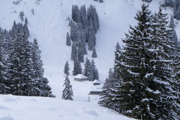 Im Seilbahnland Nidwalden