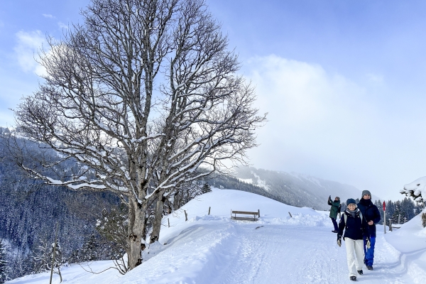 Winteridylle bei Gstaad