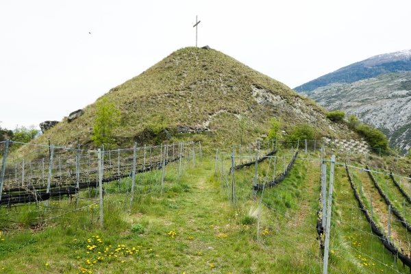 Floraison dans la vallée de Tourtemagne