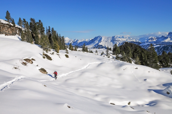 Schneeschuhtour am Niederhorn