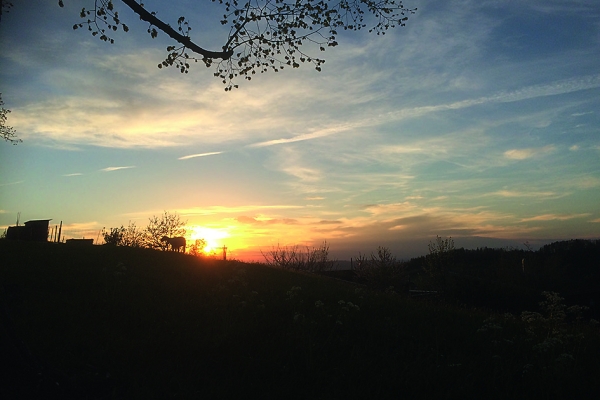 17. Schweizer Wandernacht - Zum Sonnenuntergang auf den Kaien