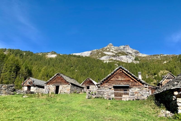 Alpe di Magnello e la pietra ollare, Valle di Campo