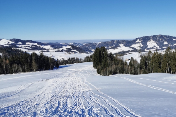 Fermé: Circuit en raquettes dans le Toggenburg