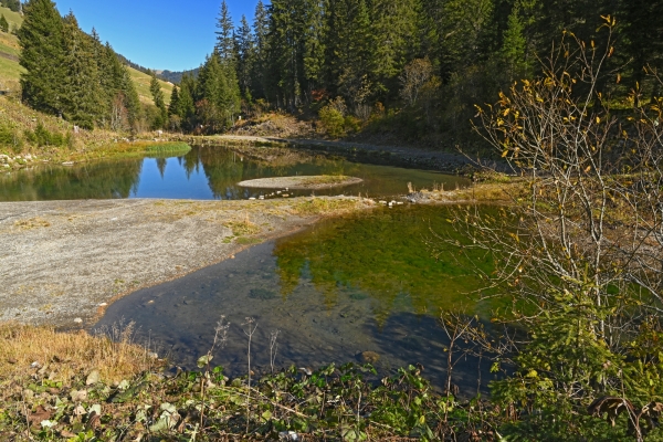 Aux sources de la Vièze