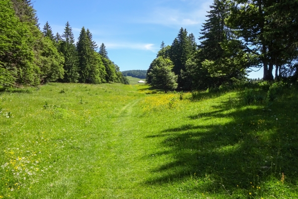 Aventure au sommet dans le Jura vaudois