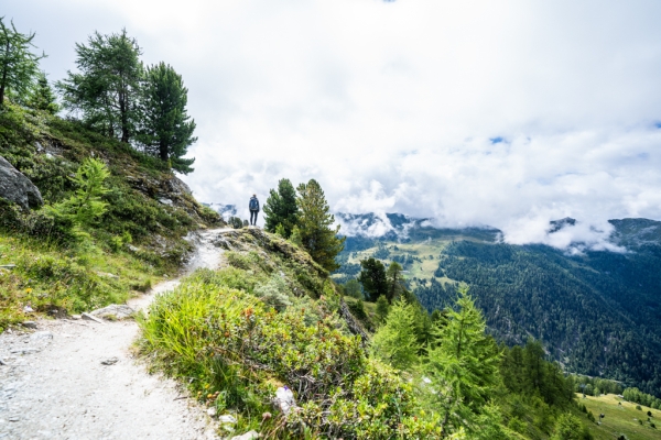 Entlang der höchsten Suone von Nendaz