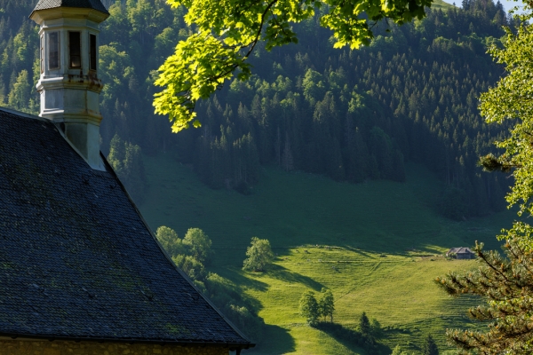 In typischer Greyerzer Landschaft