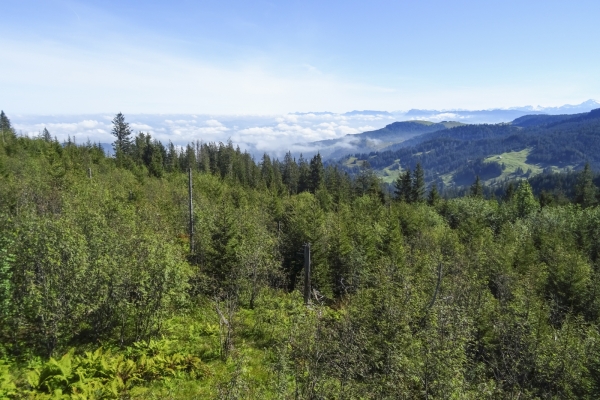 Sentier d’altitude dans la région du Gantrisch