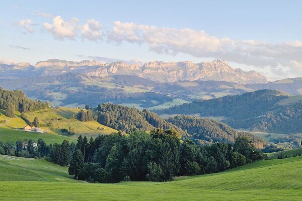 Kulturen und Kulinarik im Appenzellerland, Hügeltour mit Alpschwein-Metzgete