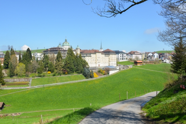 Chriesibluest-Wanderung in Zug