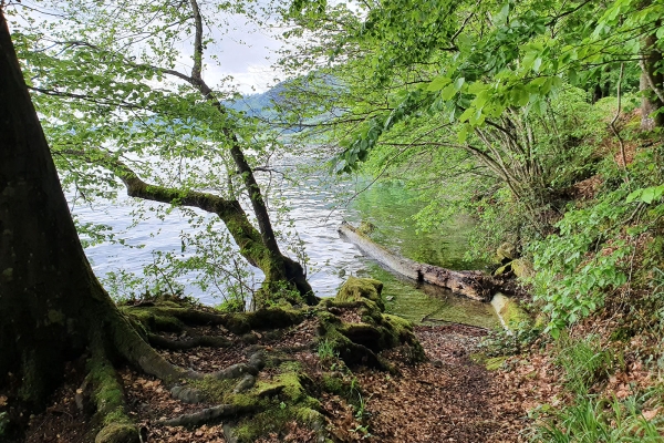 Dem See entlang zur Hohlen Gasse