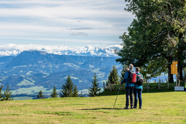 Abwechslungsreiche Herbstwanderung