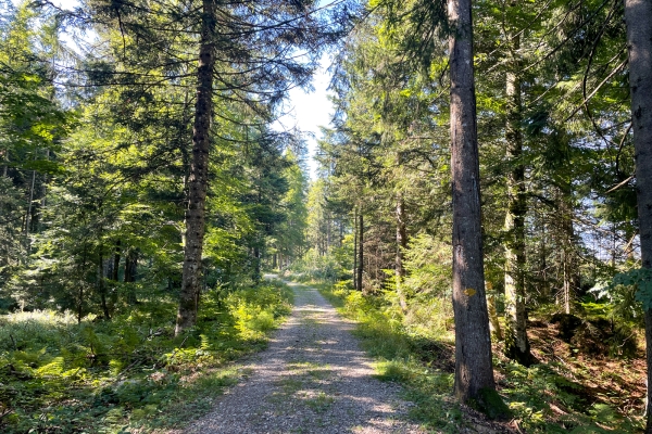 À travers le pays verdoyant d’Appenzell