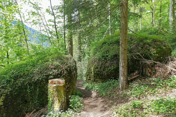 Su e giù nella zona della frana di Goldau