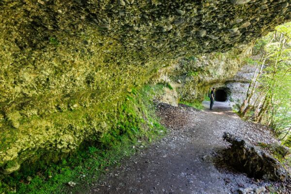 Frühlingswanderung durch Moränenlandschaft