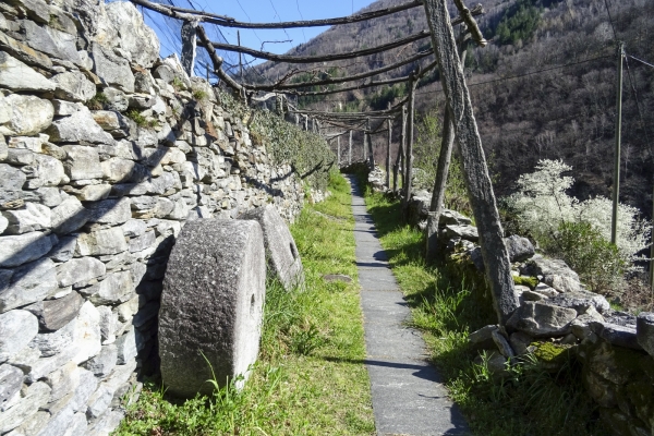 An sonnigen Hängen im Centovalli