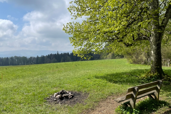 Auf der Flue oberhalb Kleinlützel