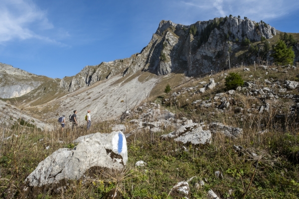 In den Freiburger Voralpen