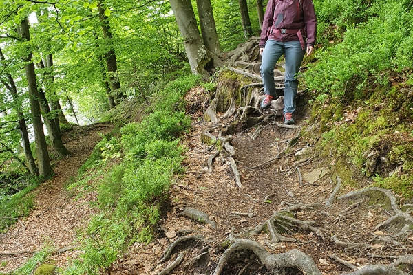 Dem See entlang zur Hohlen Gasse