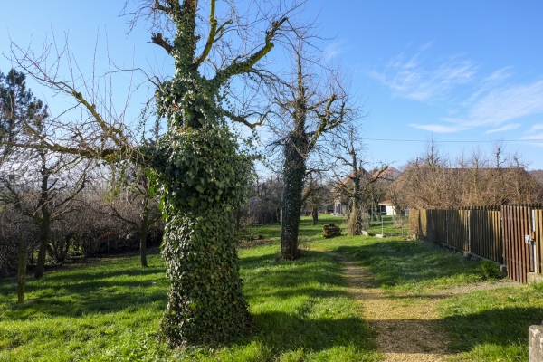 Im Baselbieter Tafeljura von Dorf zu Dorf