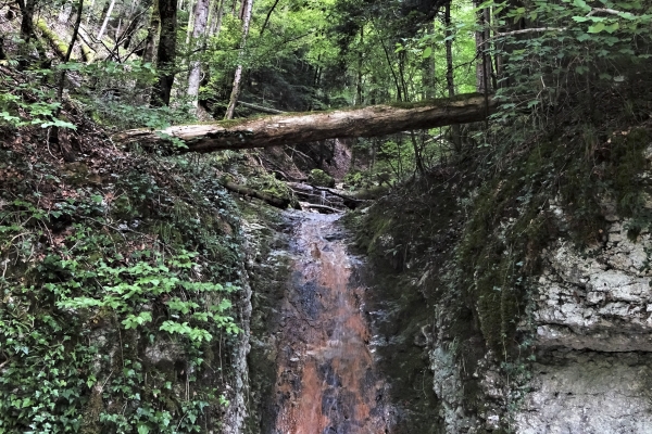 Un tracé pour le 40e du canton du Jura