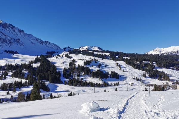 Par les marais de l’Entlebuch