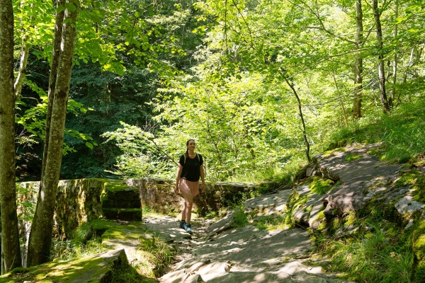 Gli antichi sentieri della Vallemaggia