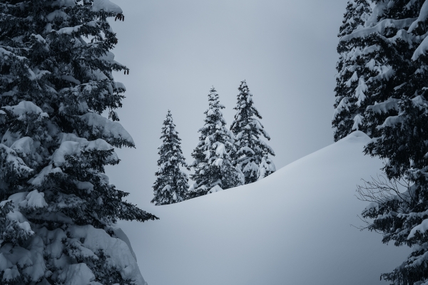 Winterwunderland oberhalb des Walensees 