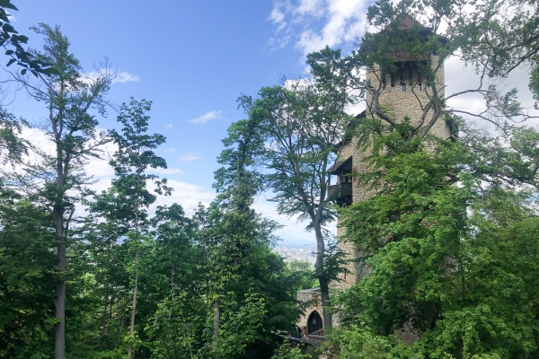 Drei-Burgen-Wanderung im Dorneck