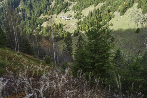 Surfaces d’arbres déracinés dans la Surselva