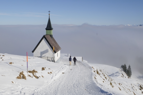 Appenzeller Panorama vom Kronberg