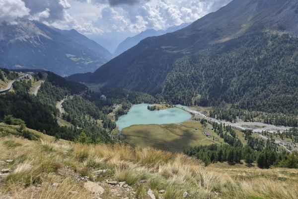 Per l’alpe Grum sul passo del Bernina