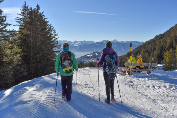 Auf die verschneite Alp Solalex