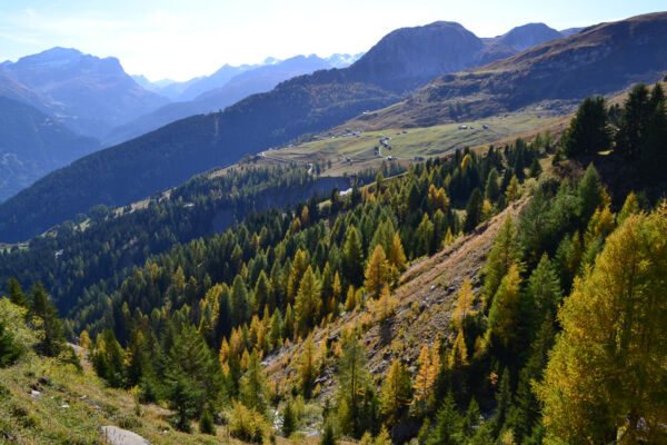 Aussichtsreicher Schamserberg im Naturpark Beverin
