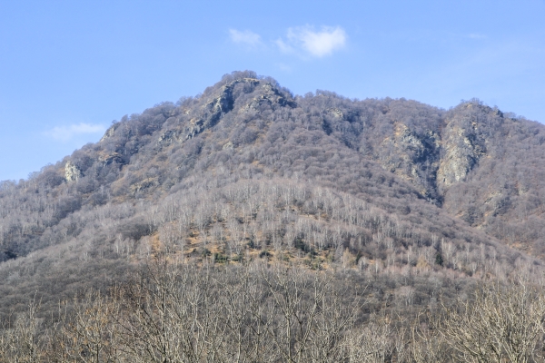 Die Selven von Alto Malcantone